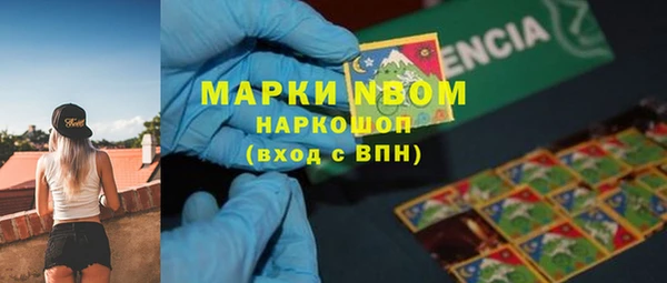 спиды Арсеньев