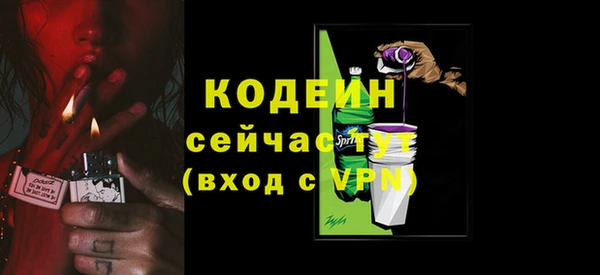 спиды Арсеньев
