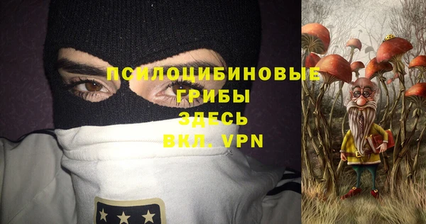 спиды Арсеньев