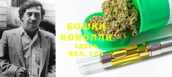 PSILOCYBIN Аркадак