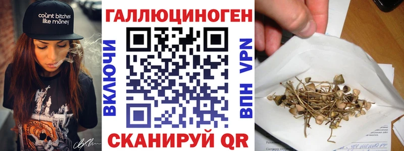 Псилоцибиновые грибы Cubensis  Арск 